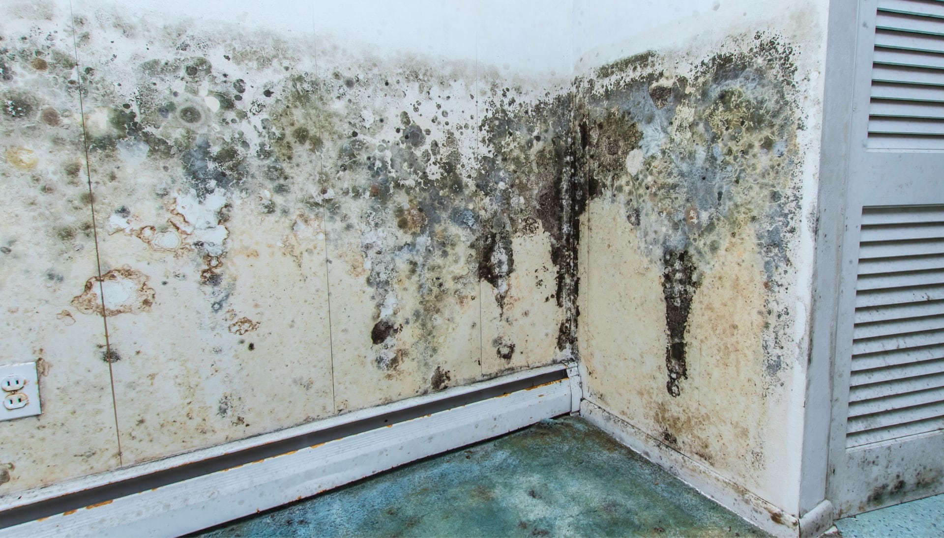 Professional mold removal, odor control, and water damage restoration service in Gulfport, Mississippi.