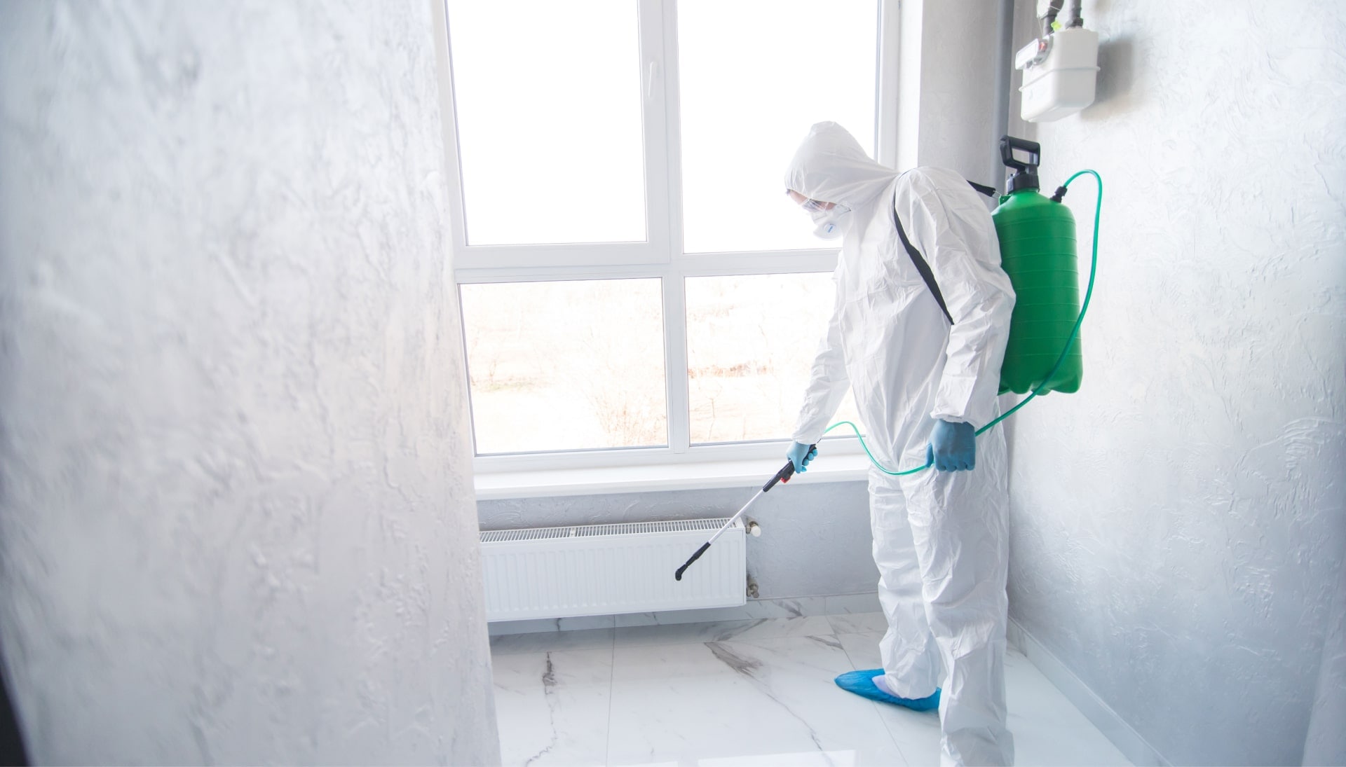 We provide the highest-quality mold inspection, testing, and removal services in the Gulfport, Mississippi area.